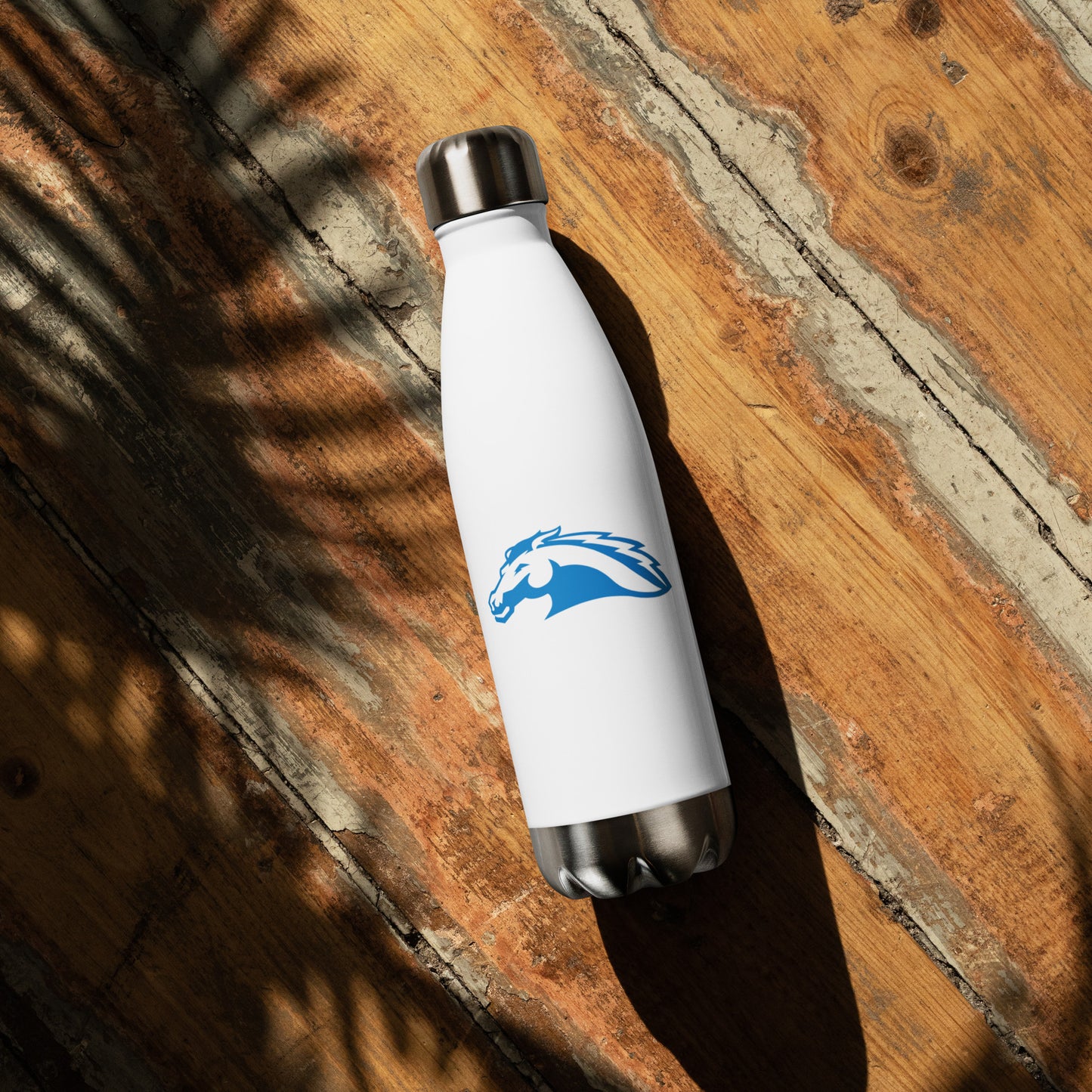 Charger Stainless steel water bottle